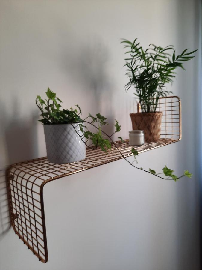 Apartament W Centrum Wroclawia Apartman Kültér fotó
