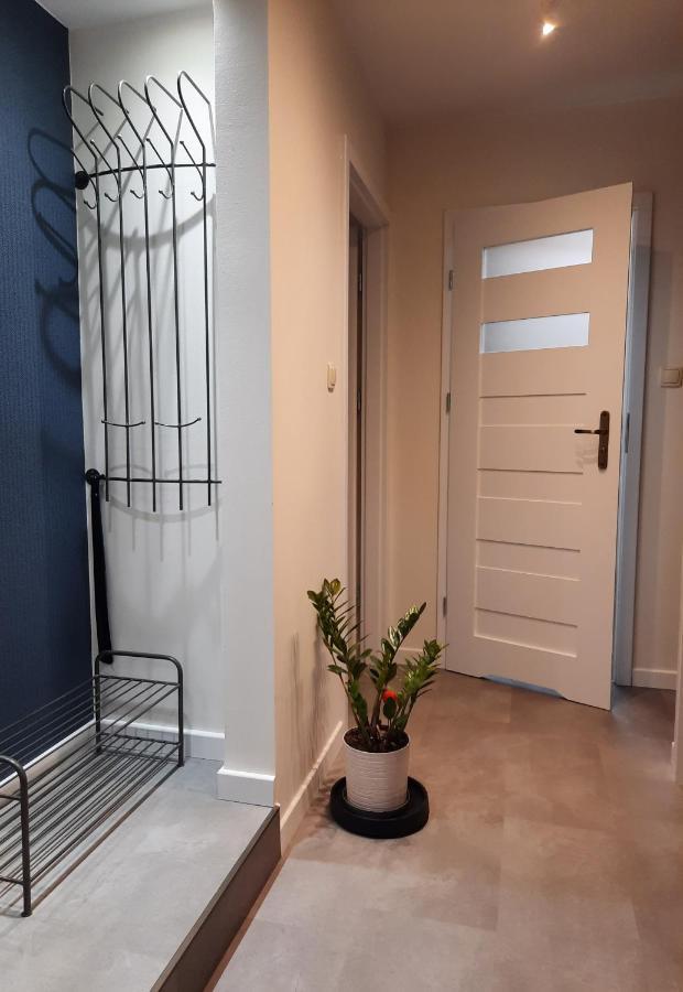 Apartament W Centrum Wroclawia Apartman Kültér fotó